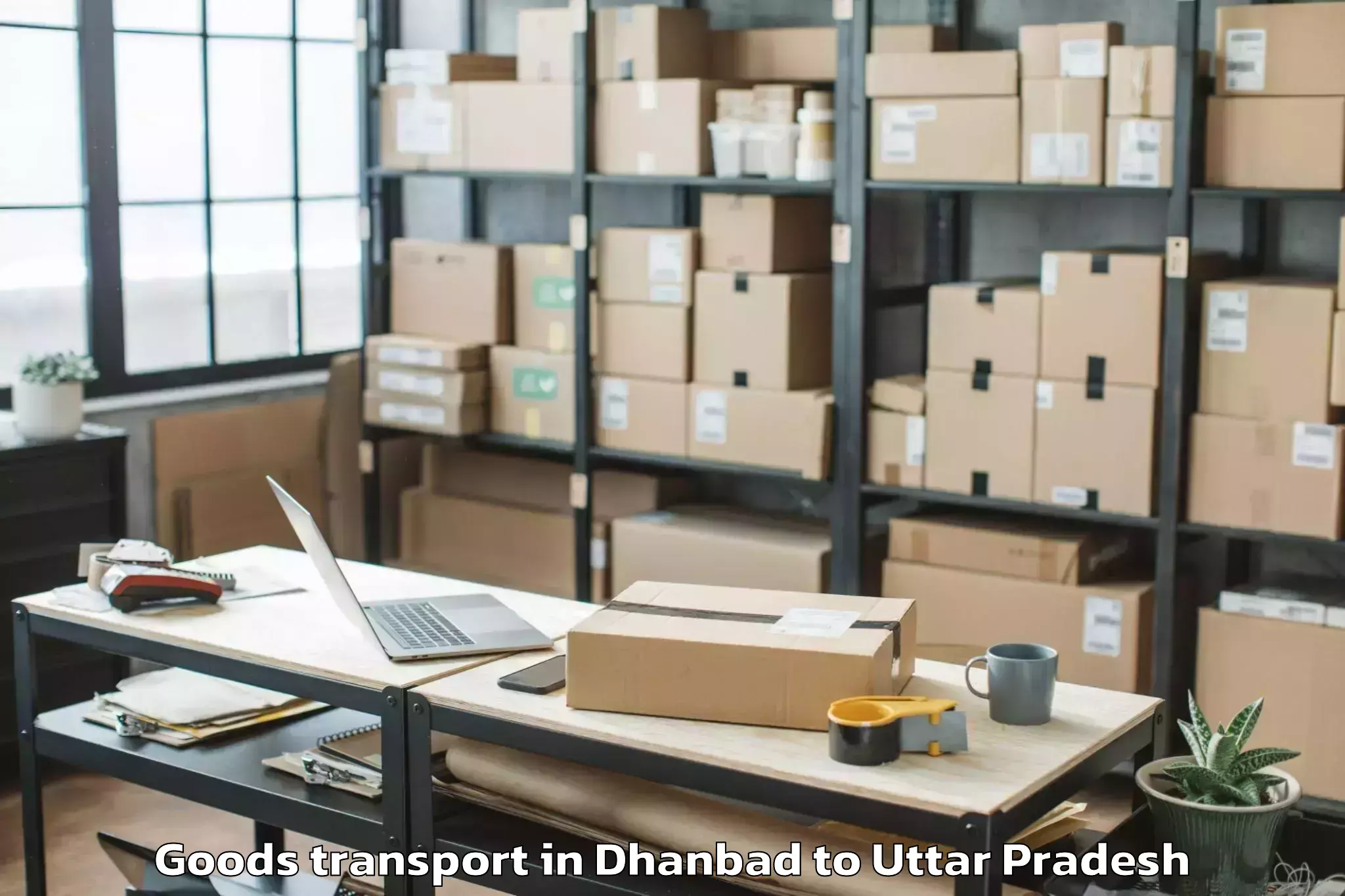 Hassle-Free Dhanbad to Balrampur Goods Transport